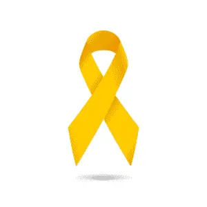 what is yellow ribbon school program